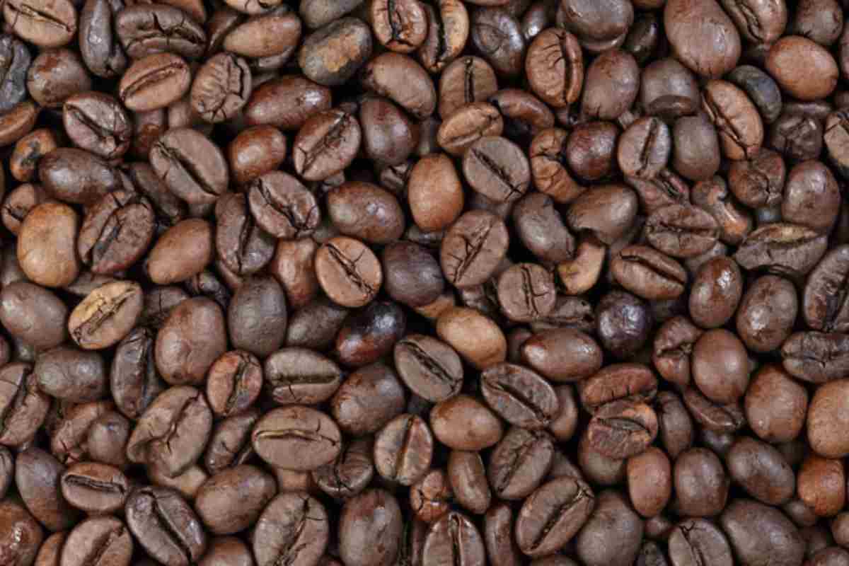 Gli effetti della crisi climatica si riflettono immediatamente sui prezzi del caffè, che hanno raggiunto livelli record a dicembre 2024