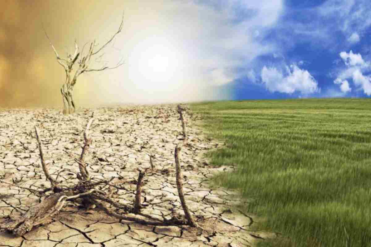 Recenti studi condotti da Climate Central, prestigioso centro di ricerca statunitense specializzato in climatologia, hanno evidenziato