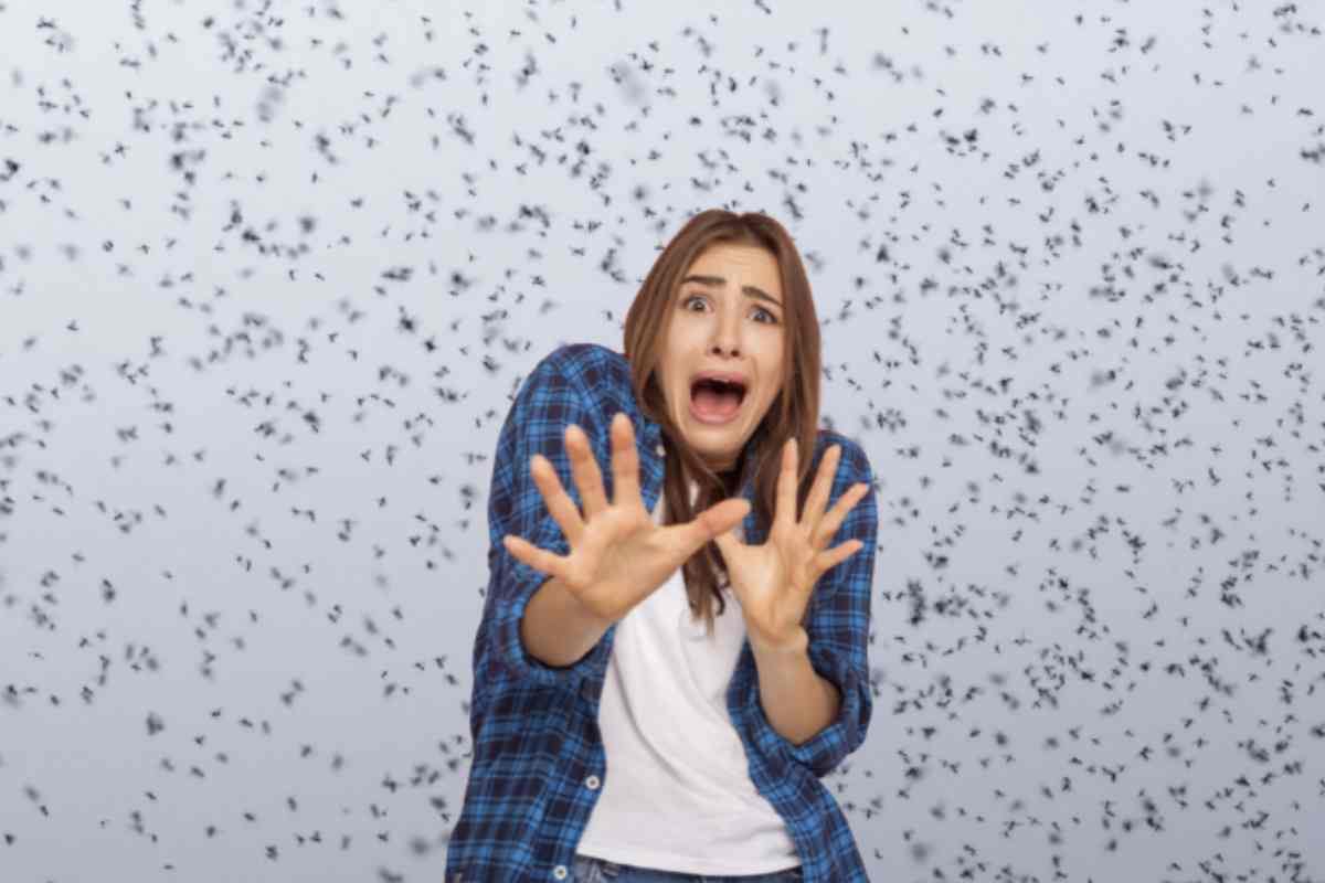 Se da un lato la loro vista può suscitare preoccupazione, non tutti questi insetti sono necessariamente pericolosi o dannosi.