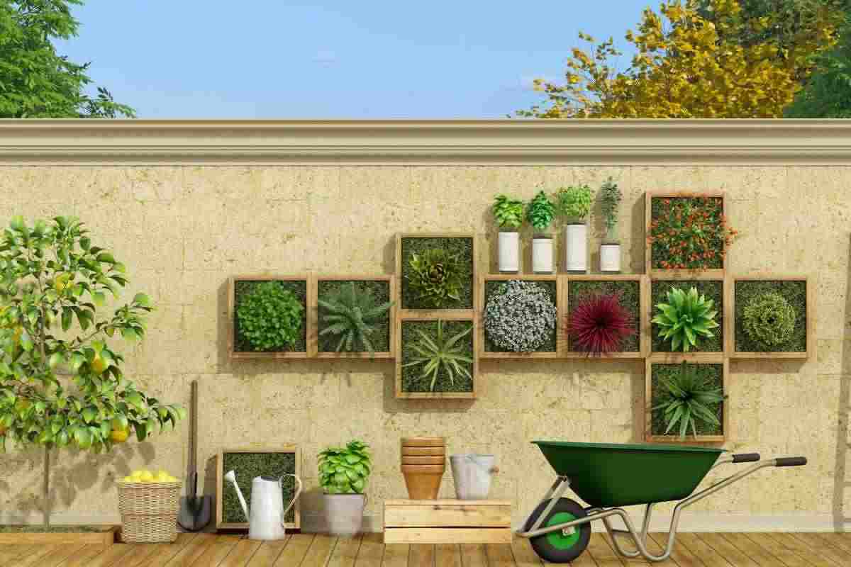 Trasforma la tua casa in un bosco verticale senza spendere