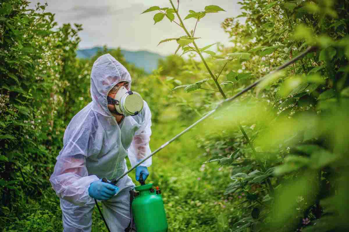 pericolo di pesticidi nel cibo